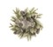 Napa Home & Garden Glitter Pine Artificial Christmas Wreath - 24-Inch, Unlit
